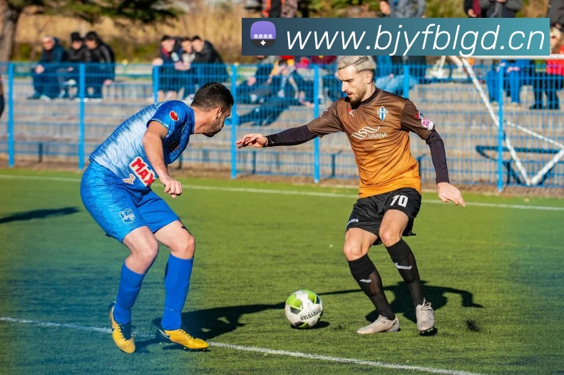 开云手机登录官网APP 体育赛事宣传图